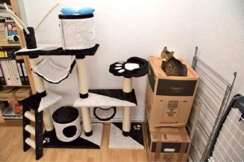 The Ideal Spot: Exactly! The perfect place!