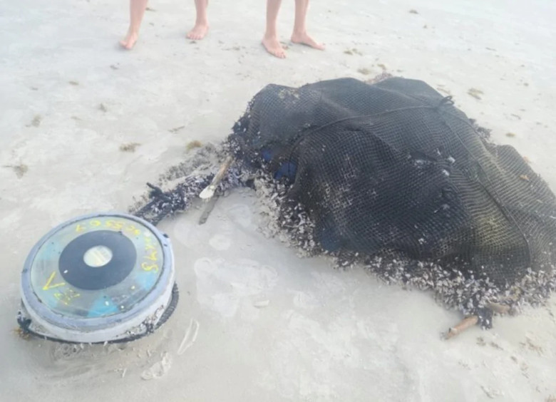 Can You Identify This Oddity?: Not every beach find comes with an explanation. Sometimes, it’s better to admire from a distance!