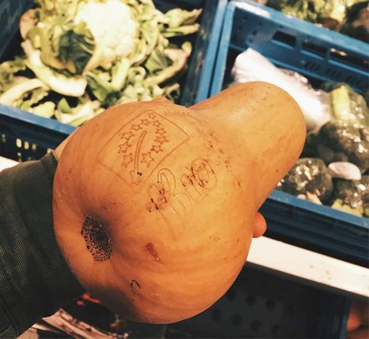 Compostable Fruit and Veg Nets Say goodbye to plastic produce bags! Special nets made from compostable materials are now available for packaging fruits and veggies.