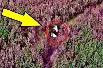 "Shocking Video Exposes Environmental Scandal - The Courageous Escape and Fight for Justice"