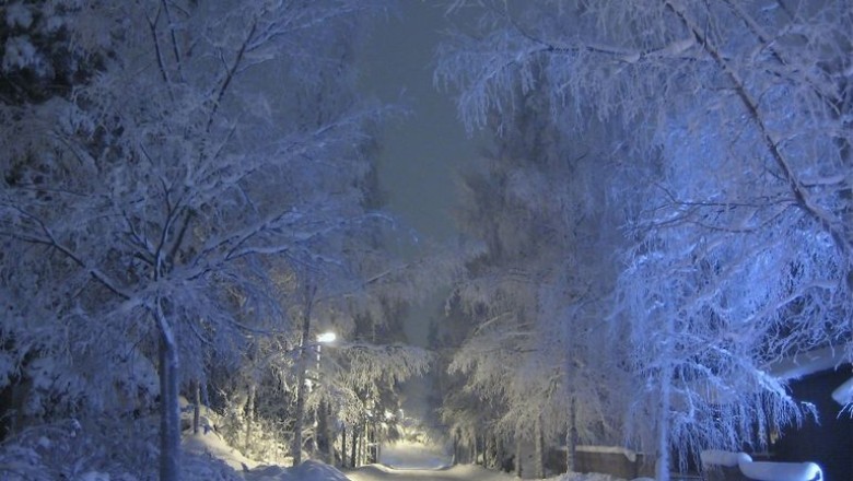 Unbelievable: How a Doctor's Crazy Idea Saved a Frozen Man Found in the Snow