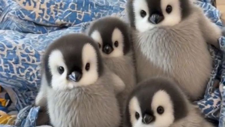 Adorable AI Penguins: The Cutest Tech Innovation You'll Ever See!