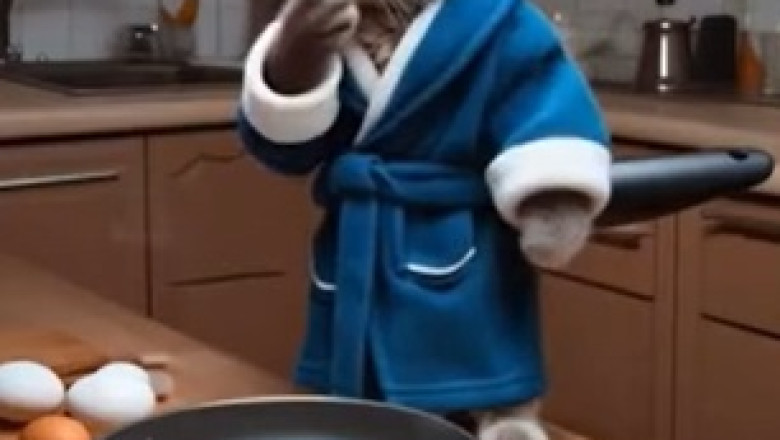 AI Cat Fries Eggs: Hilarious and Unexpected Cooking Adventure!