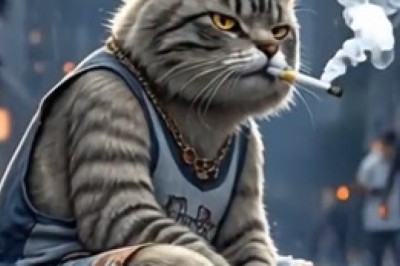 AI Cat's Amazing Adventures: Technology Meets Cuteness Overload!