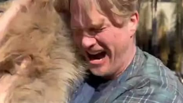 Desperate Rescue: An Angeleno and His Dogs During the LA Wildfires