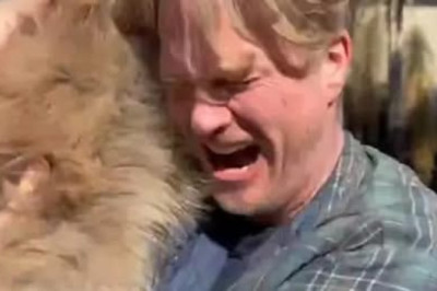Desperate Rescue: An Angeleno and His Dogs During the LA Wildfires