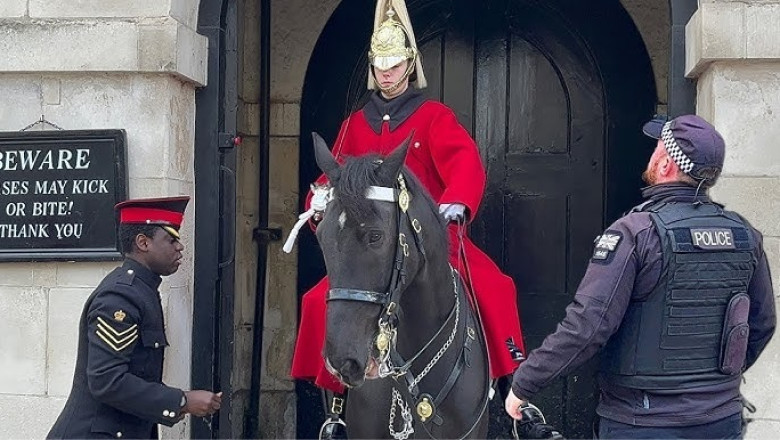 Majesty and Valor: The Untold Story of the King's Guard and Their Royal Horses