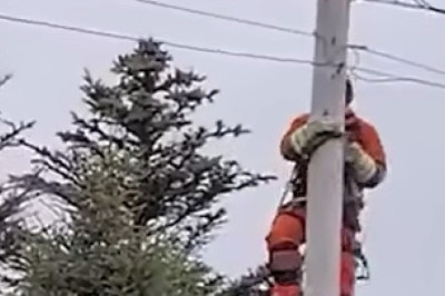 Heroic Rescue: Man Climbs Electricity Pole to Save Stranded Cat