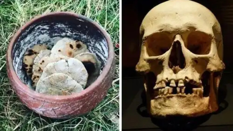 Viking Hygiene: Unveiling the Personal Care Practices of the Northmen